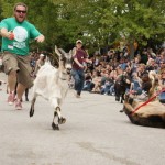 running of the goats